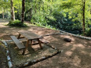 Site 1